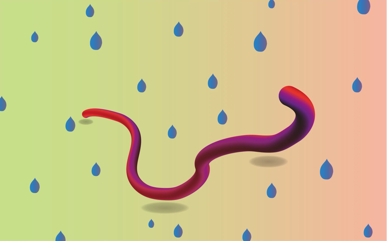 3d-worm.webp