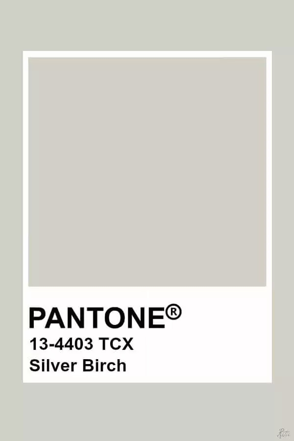 pantone-5.webp